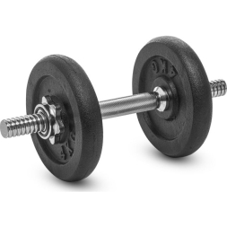 Гантель разборная Atemi 10 кг, цвет черный , ADS06J, гриф 1 шт, диски 4кг x 2 шт