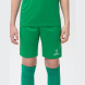 Шорты игровые JÖGEL CAMP Classic Shorts, зеленый/белый, детский