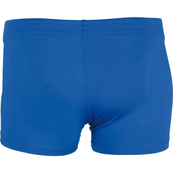 Шорты волейбольные игровые MIKASA 