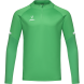 Джемпер тренировочный JÖGEL CAMP 2 Training Top, зеленый, детский