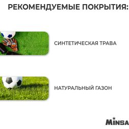 Мяч футбольный MINSA, TPE, машинная сшивка, 12 панелей, р. 5