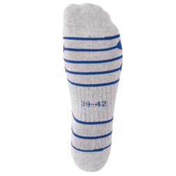 Гетры футбольные JÖGEL Match Socks, синий