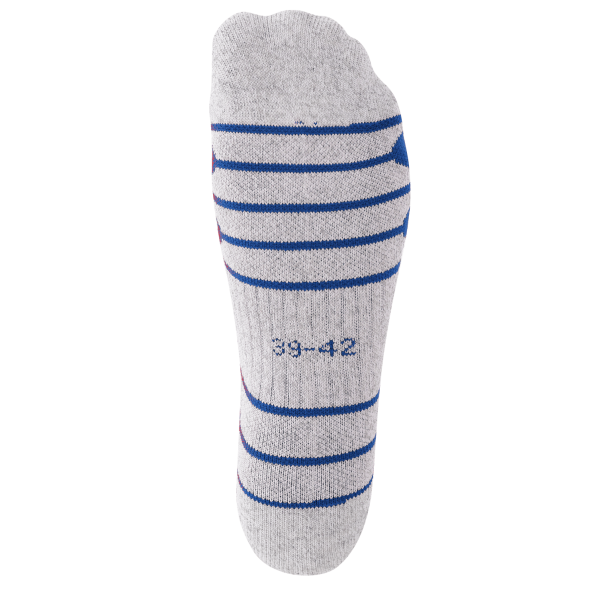 Гетры футбольные JÖGEL Match Socks, синий