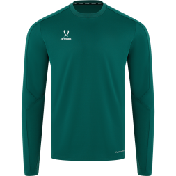 Джемпер тренировочный JÖGEL DIVISION PerFormDRY Pro Training Top, темно-зеленый