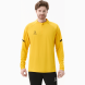 Джемпер тренировочный JÖGEL CAMP 2 Training Top, желтый