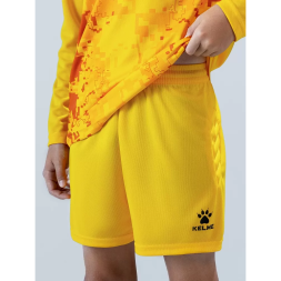 Комплект вратарской формы KELME LECHON