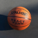Мяч баск. SPALDING TF-250 React 76801z, р.7, композит. кожа (ПУ), коричн-черн.