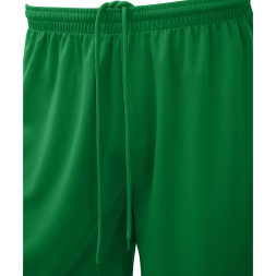 Шорты баскетбольные JÖGEL CAMP Basic, зеленый
