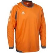 Свитер вратарский DIVISION PerFormDRY GK Pattern LS, сиреневый/темно-серый/белый