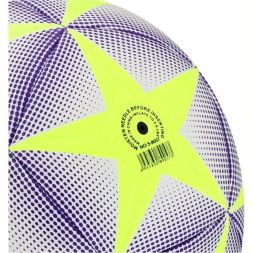 Мяч футбольный MINSA, TPU, машинная сшивка, 12 панелей, р. 5