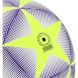 Мяч футбольный MINSA, TPU, машинная сшивка, 12 панелей, р. 5