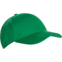 Бейсболка STAN 5 клиньев хлопок 150, 10L