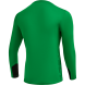 Свитер вратарский JÖGEL DIVISION PerFormDRY GK Splash, зеленый