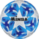 Мяч футбольный MINSA, TPE, машинная сшивка, 12 панелей, р. 5