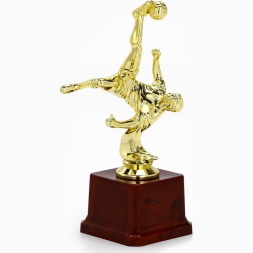 Наградная фигура кубок «Футболист», B, золото, подставка пластик, 20 х 10 х 7,5 см