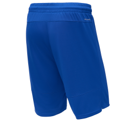 Шорты баскетбольные JÖGEL PerformDry Division Star, синий