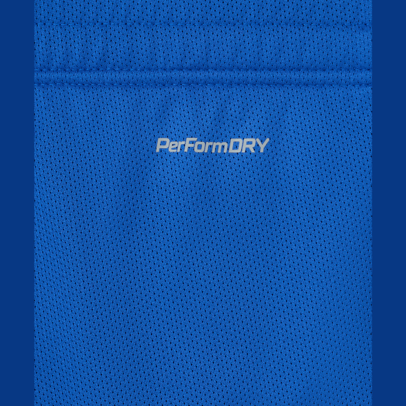 Шорты баскетбольные JÖGEL DIVISION PerFormDRY RBF 2S Shorts, синий
