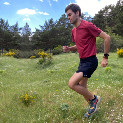 Футболка JOMA CHAMELEON Бордовый