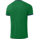 Футболка волейбольная JÖGEL CAMP, зеленый