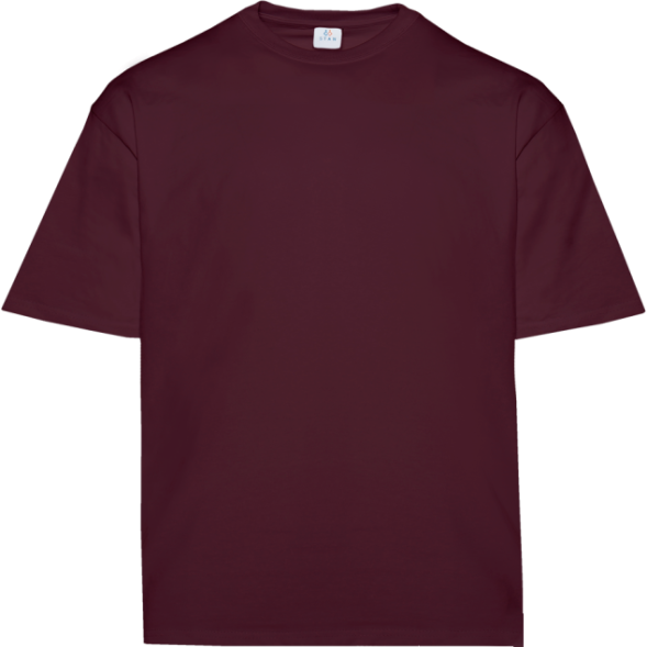 Футболка унисекс оверсайз STAN хлопок 240, 56