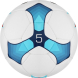 Мяч футбольный MINSA Training, PU, ручная сшивка, 32 панели, р. 5