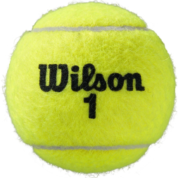 Мяч теннисный WILSON Roland Garros All Court, WRT116400, одобр.ITF, фетр, нат.резина, уп.4 шт