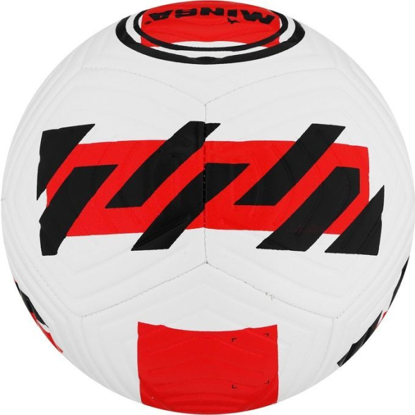 Мяч футбольный MINSA, TPE, машинная сшивка, 12 панелей, р. 5