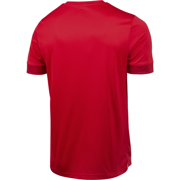 Футболка игровая JÖGEL DIVISION PerFormDRY Union Jersey, красный/ темно-красный/белый