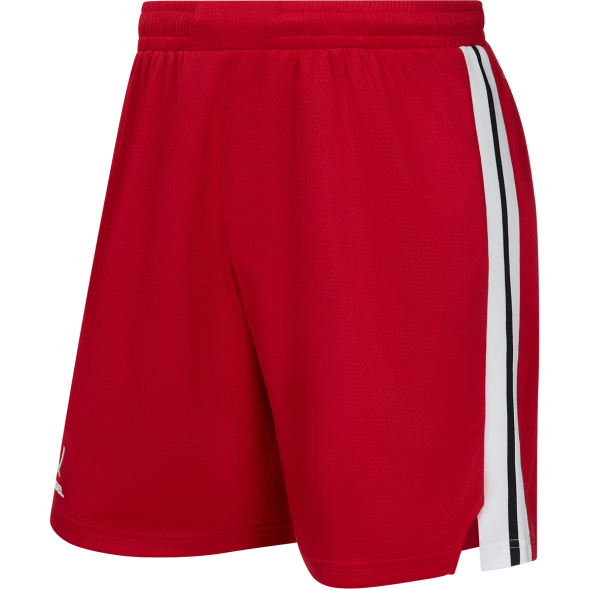 Шорты баскетбольные JÖGEL DIVISION PerFormDRY Shorts R2, красный
