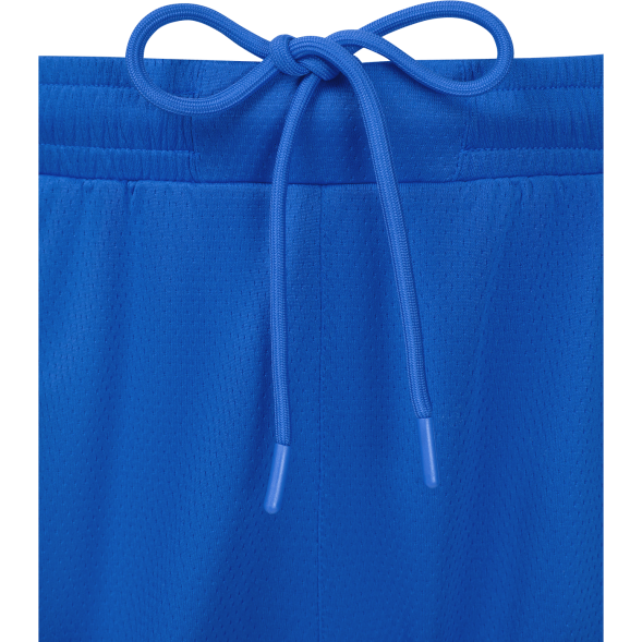 Шорты баскетбольные JÖGEL DIVISION PerFormDRY Shorts Z2, синий