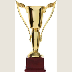 Кубок 181B, зол., подставка пластик, 28 × 14 × 7 см