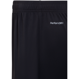 Шорты вратарские JÖGEL NATIONAL PerFormDRY GK Shorts, черный