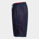 Баскетбольные шорты JOMA ROOKIE (двухсторонние) 100529.603  