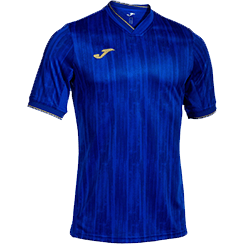 JOMA Футболка GOLD VI 103540.722 (07-XL)
