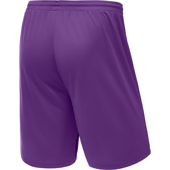 Шорты баскетбольные JÖGEL CAMP Basic, фиолетовый, детский