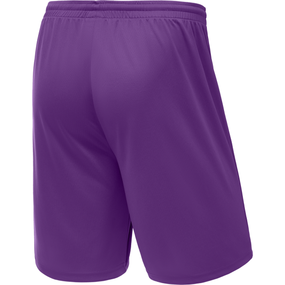 Шорты баскетбольные JÖGEL CAMP Basic, фиолетовый, детский