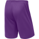 Шорты баскетбольные JÖGEL CAMP Basic, фиолетовый, детский