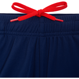 Шорты тренировочные JOGEL NATIONAL PerFormDRY Training Shorts, темно-синий