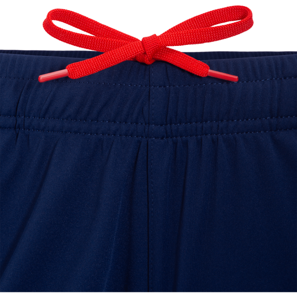 Шорты тренировочные JOGEL NATIONAL PerFormDRY Training Shorts, темно-синий