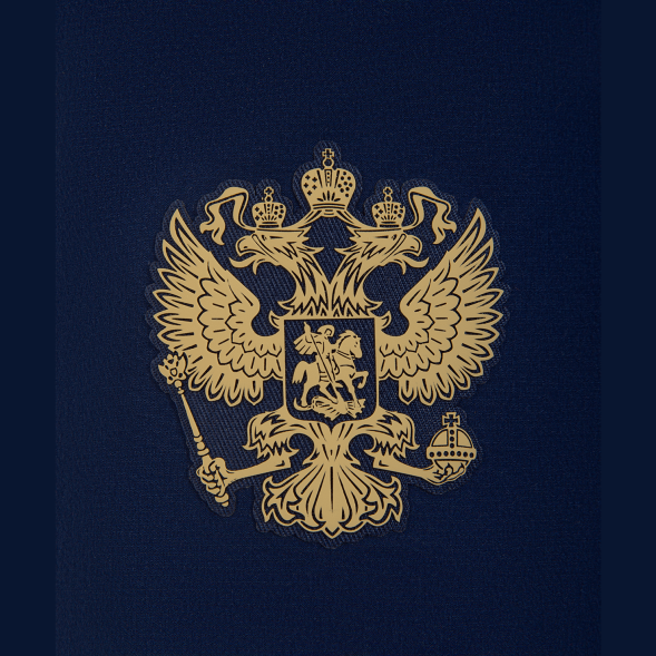 Шорты тренировочные JOGEL NATIONAL PerFormDRY Training Shorts, темно-синий