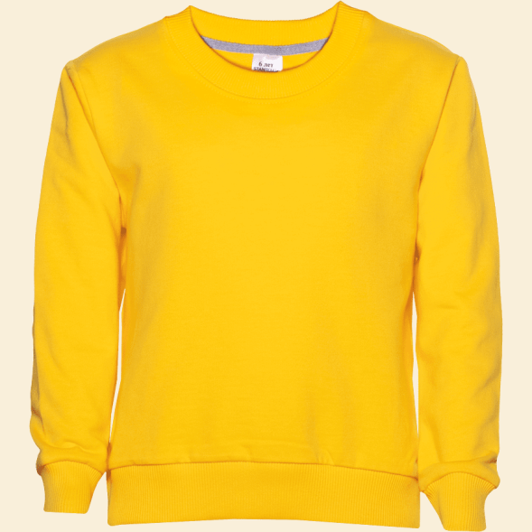 Свитшот детский STAN футер без начёса, 260, 63J