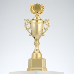 Кубок спортивный 122DF. Цвет зол, 29,5 × 12 × 7,5 см