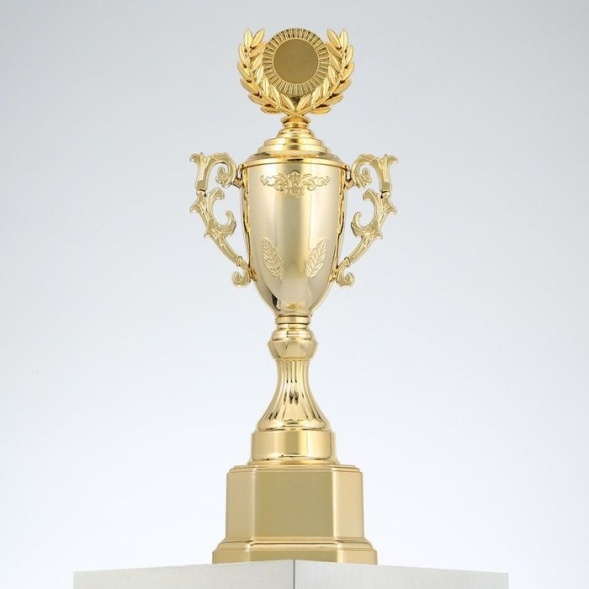 Кубок спортивный 122DF. Цвет зол, 29,5 × 12 × 7,5 см