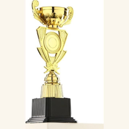 Кубок 182A, зол., подставка пластик, 29 × 12.5 × 9.5 см