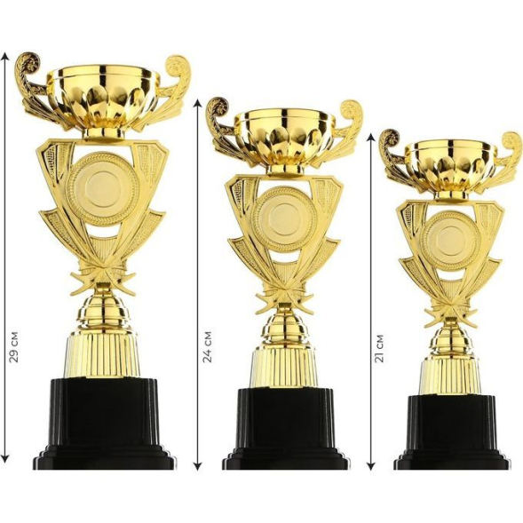 Кубок 182B, зол., подставка пластик, 24 × 12 × 8.3 см