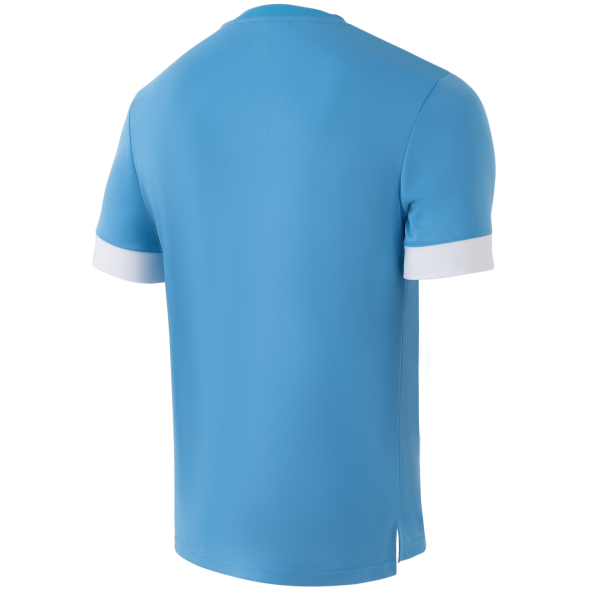 Футболка игровая JÖGEL DIVISION PerFormDRY Union Jersey, голубой/белый/белый