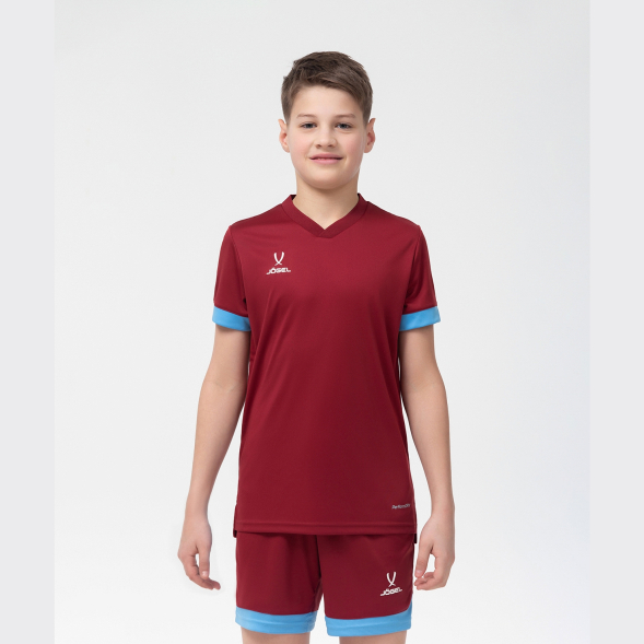 Футболка игровая JÖGEL DIVISION PerFormDRY Union Jersey, гранатовый/голубой/белый