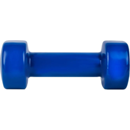 Гантель виниловая Atemi, AD052, чугун, 2 кг