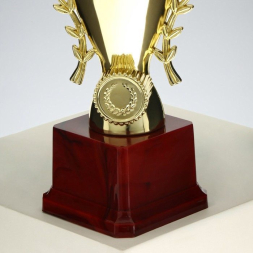 Кубок 184B, зол., подставка пластик, 26 × 11 × 7.5 см