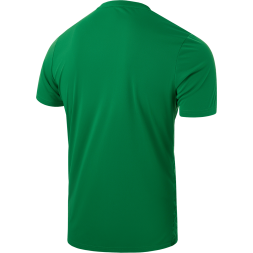 Футболка вратарская JÖGEL DIVISION PerFormDRY SPLASH GK Jersey, зеленый